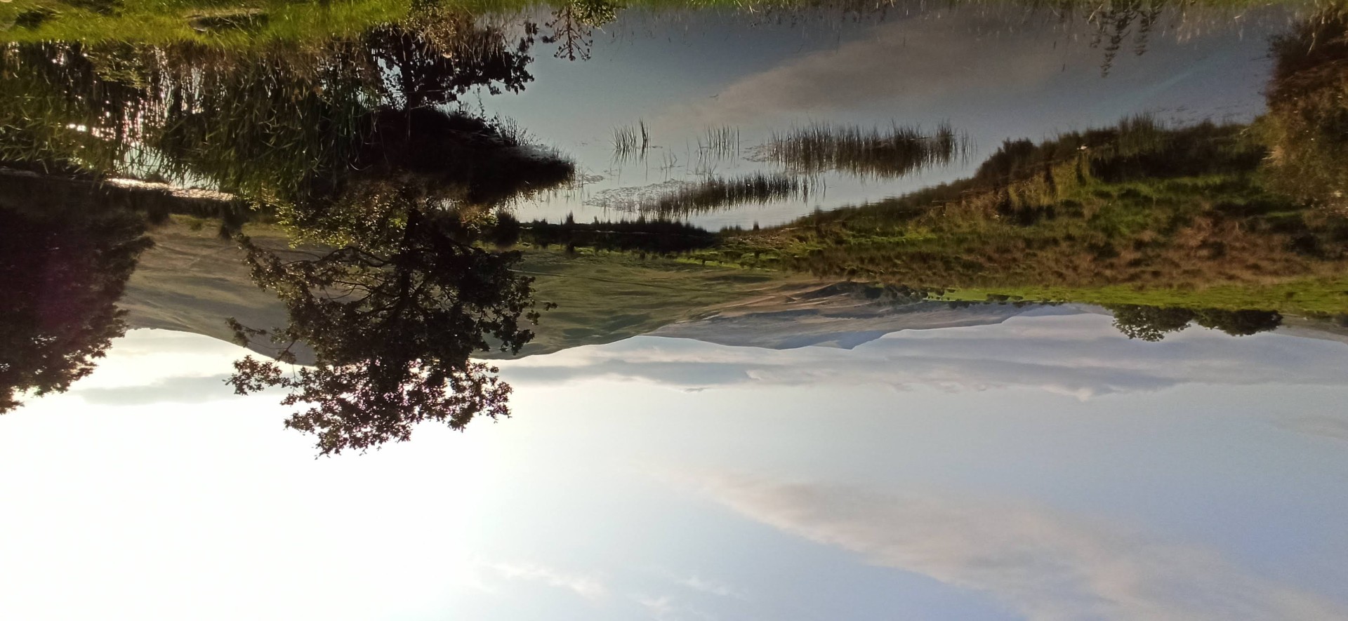 Pond and upland landscape at Dalefoot Farm